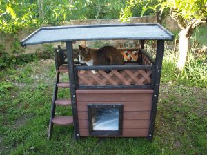 Katze im Outdoor Katzenhaus von Kerbl