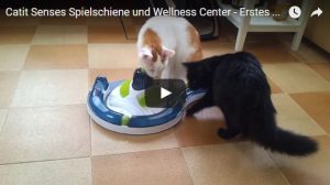 Catit Senses Wellness Center Video mit Katzen